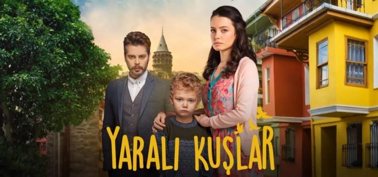 Раненые птицы (2019) смотреть онлайн турецкий сериал на русском языке
