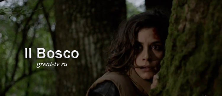 Лес / Il bosco (2015) смотреть онлайн итальянский сериал на русском языке