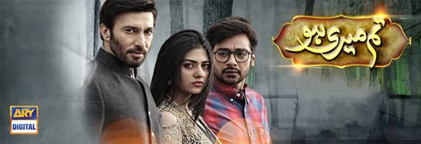 Ты моя / Tum Meri Ho смотреть онлайн пакистанский сериал на русском языке