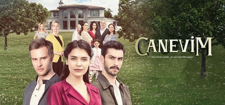 Сокровенное (2019) смотреть онлайн турецкий сериал на русском языке