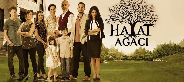 Дерево жизни / Hayat Agaci (2014) смотреть онлайн турецкий сериал на русском языке