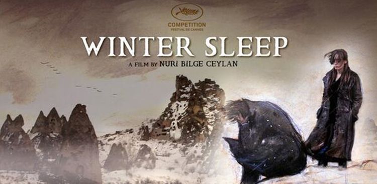 Зимняя спячка турецкий сериал