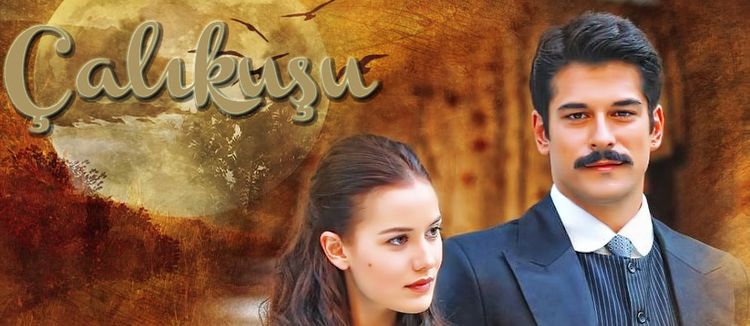 Королек — птичка певчая турецкий сериал